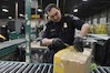 CBP officer checking mail