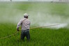 herbicide-zefe-wu-pixabay